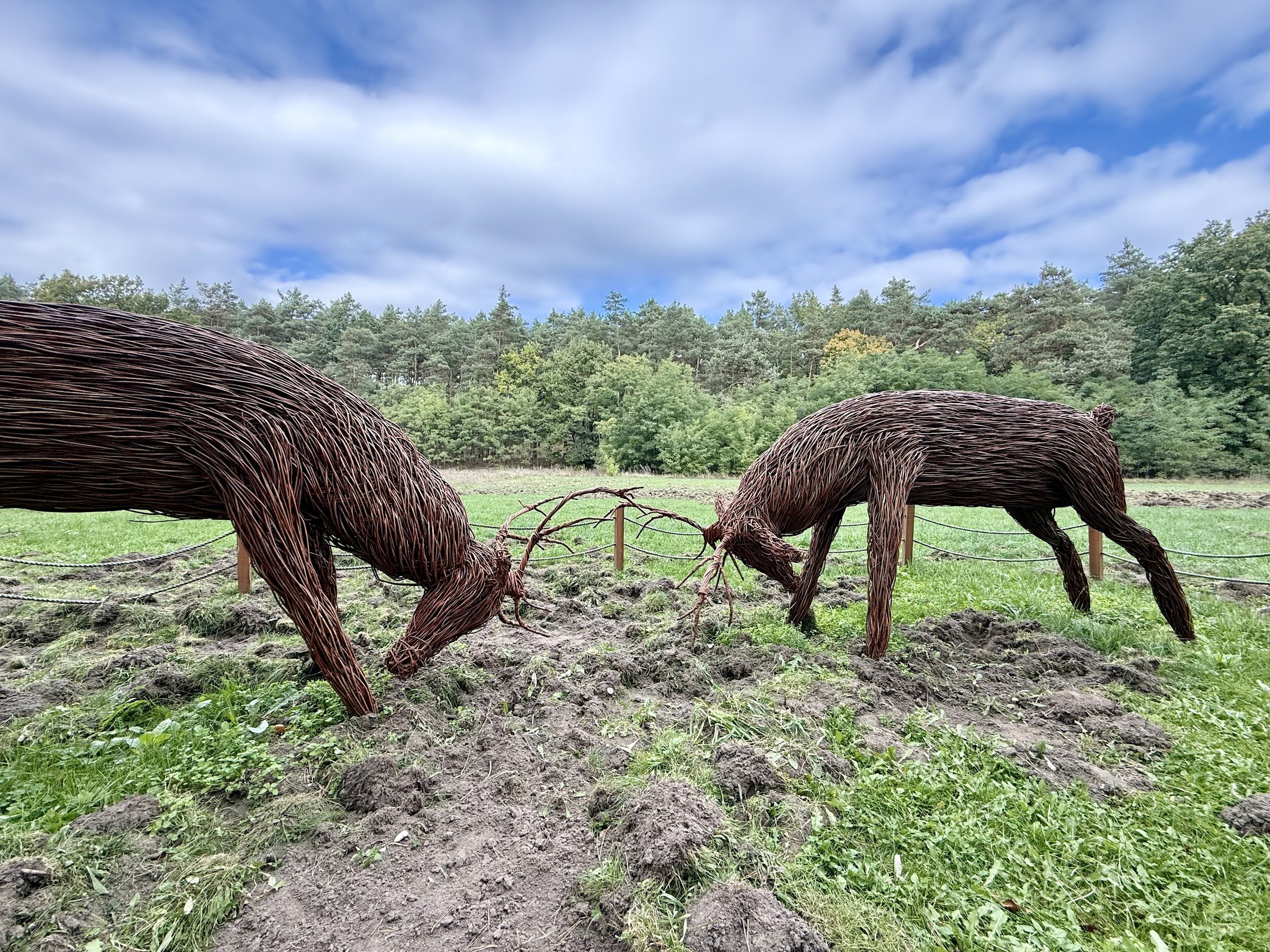 Treetops pathway (Ścieżka w koronach drzew, Dolina Wkry)